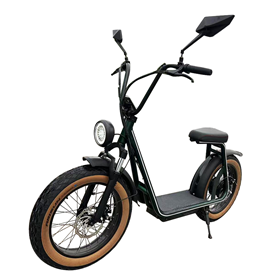 20inch Fat Tire Electric Motorcycle Scooter